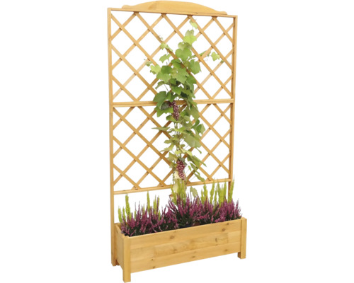 Houten plantenbak met klimrek en planten