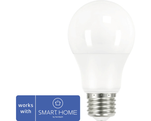 FLAIR Viyu Smart LED-lamp E27/8,5W A60 CCT mat