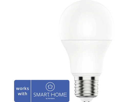 FLAIR Viyu Smart LED-lamp E27/9,5W A60 RGB+CCT mat Slimme ledlamp met E27 fitting en Smart Home compatibiliteit
