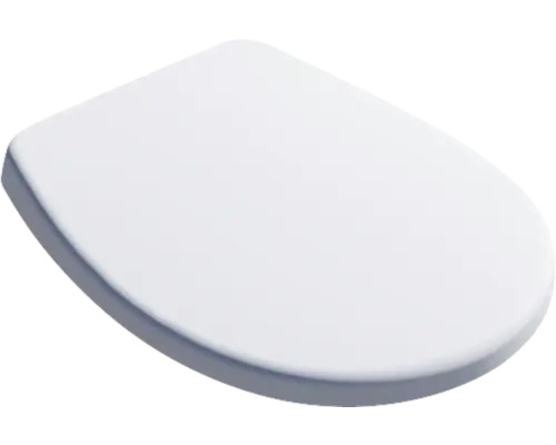 Toiletdeksel van sanitair keramiek