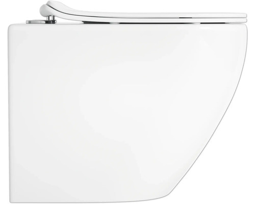 Wandcloset met diepspoeling en toiletdeksel