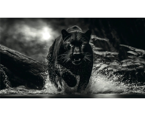 THE WALL Schilderij canvas Black Panther 180x100 cm
