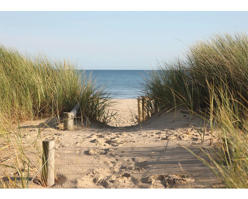 Buitencanvas Duinen en strand 70x50 cm