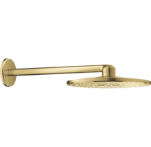 Gouden hoofddouche met wandarm voor douches