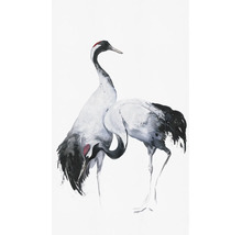 Aquarelschilderij van twee kraanvogels
