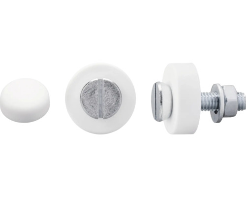 DRESSELHAUS Kentekenplaatschroef 5x20 mm wit, 100 stuks Deurstoot met schroef, verschillende aanzichten