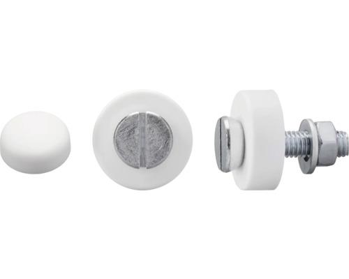 DRESSELHAUS Kentekenplaatschroef 6x20 mm wit, 100 stuks Deurstoot met schroef in verschillende aanzichten