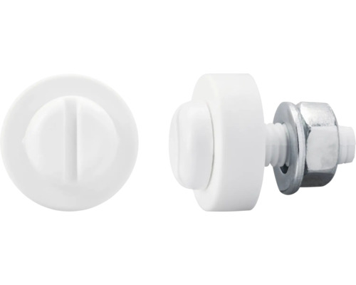 DRESSELHAUS Kentekenplaatschroef kunststof 6x20 mm wit, 100 stuks Bevestigingsset voor toiletbrillen