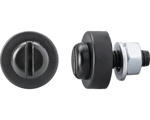 DRESSELHAUS Kentekenplaatschroef kunststof 6x20 mm zwart, 100 stuks DRESSELHAUS Kentekenplaatschroef kunststof 6x20 mm zwart, 100 stuks
