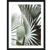 Ingelijste afbeelding met palmboommotief