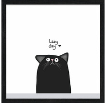 Ingelijste afbeelding met een kat en de tekst 'Lazy Day'.