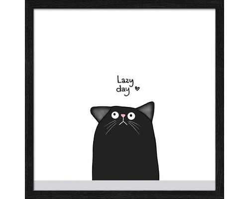 Ingelijste afbeelding met een kat en de tekst 'Lazy Day'.