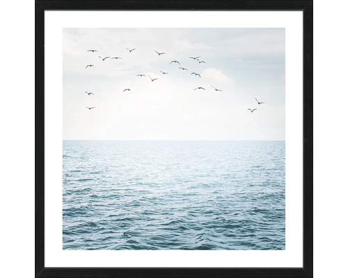 Ingelijste wanddecoratie met een afbeelding van vogels boven de zee