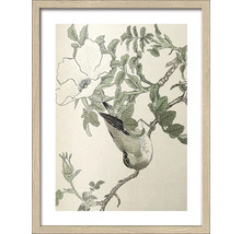 Ingelijste afbeelding met een tekening van een vogel op een tak met bladeren en bloemen.