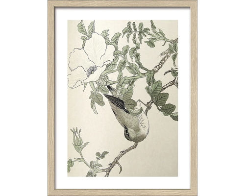 Ingelijste afbeelding met een tekening van een vogel op een tak met bladeren en bloemen.
