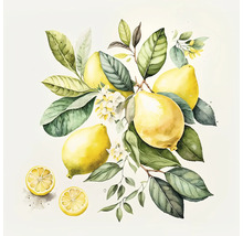 Illustratie met citroen, bladeren en bloemen