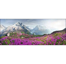 Panorama van een berglandschap met bloeiende alpenroos op de voorgrond