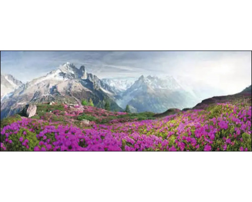 Panorama van een berglandschap met bloeiende alpenroos op de voorgrond
