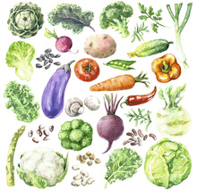 Illustratie van verschillende groenten zoals artisjokken, kool en broccoli
