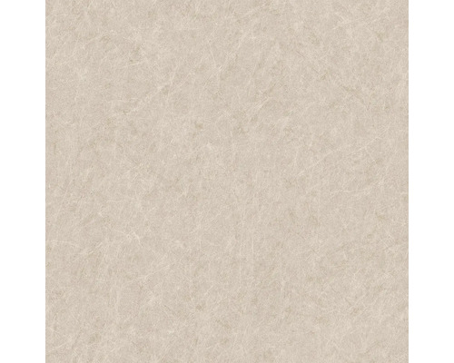VAVEX Vliesbehang TP422903 Tapestry steenoptiek beige Close-up van een licht vinylbehang met marmerpatroon.
