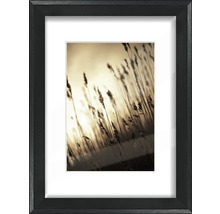 THE WALL Fotolijst hout Säntis zwart 13x18 cm