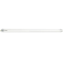 SYLVANIA LED-buis Toledo Avant T8 G13/7W 603 mm koelwit