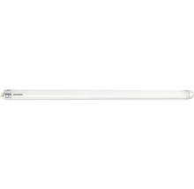 SYLVANIA LED-buis Toledo Avant T8 G13/18W 1514 mm daglichtwit