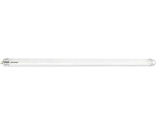 SYLVANIA LED-buis Toledo Avant T8 G13/18W 1514 mm daglichtwit Sylvania fluorescentielamp