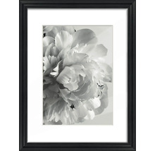 THE WALL Fotolijst hout Ascona zwart 50x70 cm