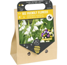 Bloembollenpakket met bijvriendelijke bloemen