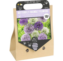 Bloembollen voor vlindervriendelijke bloemen in papieren verpakking