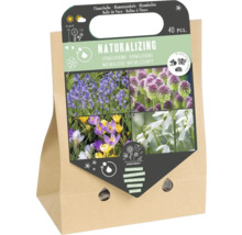 Bloembollen Naturalizing, 40 stuks