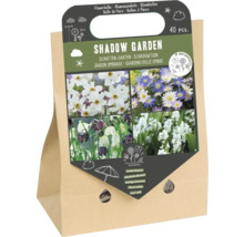Bloembollen voor de schaduwtuin, 40 stuks