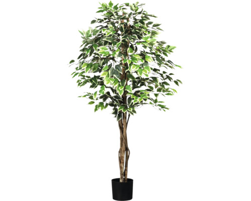 Kunstplant Ficus Benjamina in pot groen/wit H 160 cm