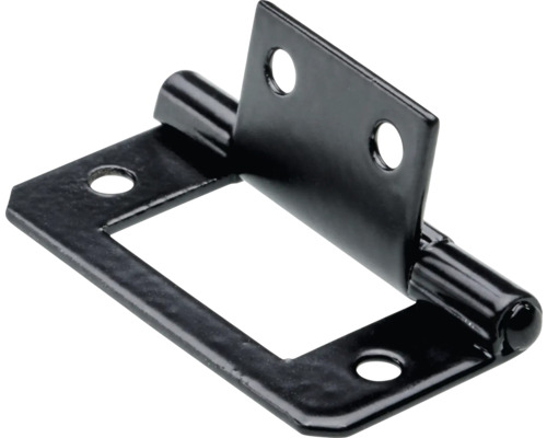 HETTICH Lamelscharnier 38x20 mm zwart, 25 stuks Een afzonderlijk inboorhengsel van metaal