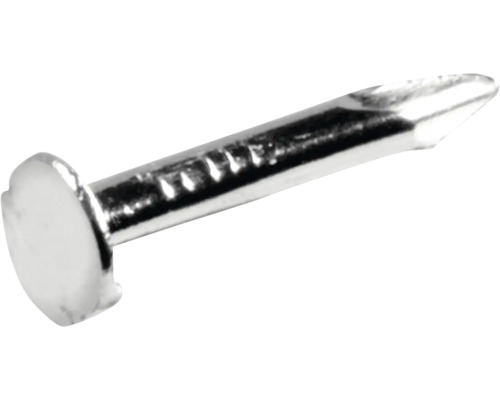 HETTICH Nagels t.b.v. kistslot 1,0x8 mm nikkel, 200 stuks Een enkele stalen nagel met platte kop