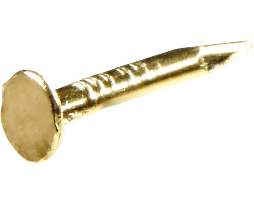 HETTICH Nagels t.b.v. kistslot 1,0x8 mm messing, 200 stuks Goudkleurige stalen spijker met kop