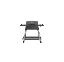 Elektrische grill met opbergvakken en onderstel