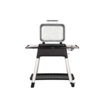 Everdure gasbarbecue met open deksel