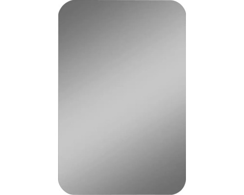DSK Spiegelkast Black Trend met verlichting 60x40x10,4 cm hacienda zwart Rechthoekige spiegel met afgeronde hoeken