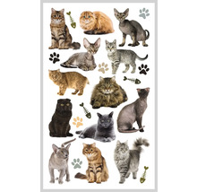 Sticker met kattenmotieven