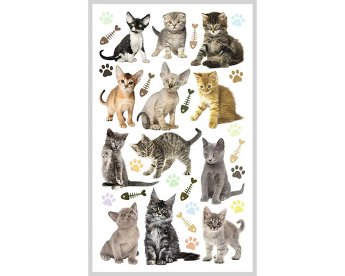 AGDESIGN Mini stickers Kittens 32 stuks