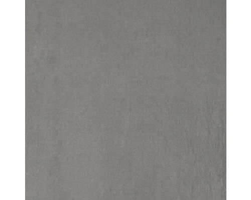 Grijze vloertegel van steengoed