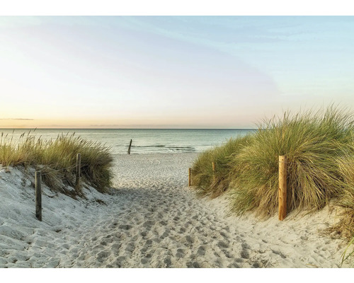 RASCH Fotobehang vlies 363296 Magic Walls duinen 371x265 cm Zandpad naar strand met begroeide duinen