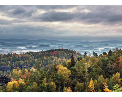 RASCH Fotobehang vlies 363418 Magic Walls landschap 371x265 cm Landschap met bos, heuvels en mist onder een bewolkte hemel