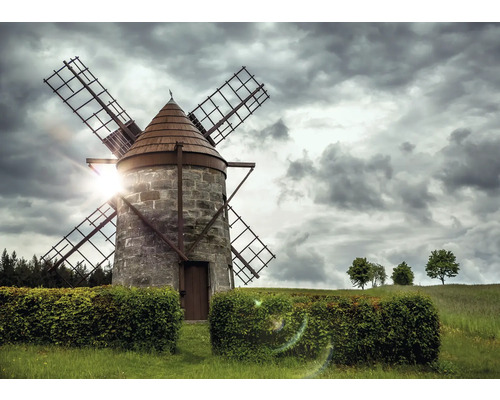 RASCH Fotobehang vlies 363463 Magic Walls landschap 371x265 cm Windmolen op een veld onder een bewolkte hemel
