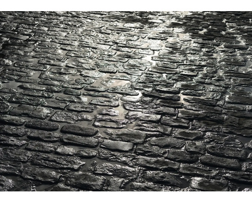 RASCH Fotobehang vlies 363708 Magic Walls steenoptiek 371x265 cm Natte straatstenen buiten