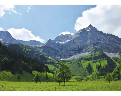 RASCH Fotobehang vlies 364651 Magic Walls bergen 371x265 cm Landschap met bergen, weilanden en bomen