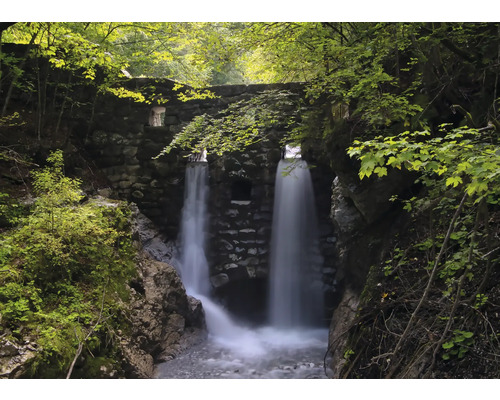 RASCH Fotobehang vlies 364668 Magic Walls bos 371x265 cm Stenen brug met waterval in een bos
