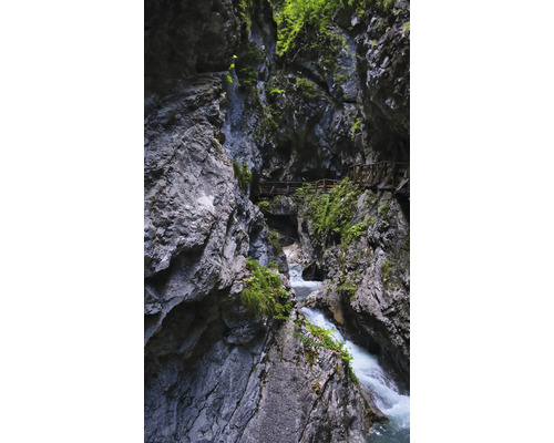 RASCH Fotobehang vlies 364675 Magic Walls kloof 159x265 cm Kloof met rotsen, water en houten loopbrug